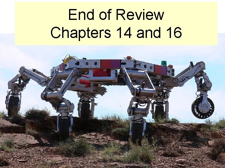 End of Review Chapters 14 and 16 
