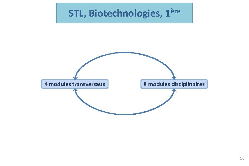 STL, Biotechnologies, 1ère 4 modules transversaux 8 modules disciplinaires 16 