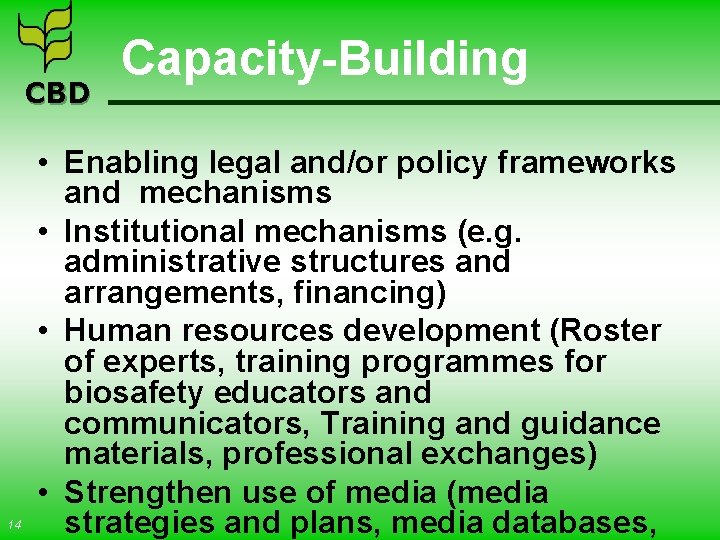 CBD 14 Capacity-Building • Enabling legal and/or policy frameworks and mechanisms • Institutional mechanisms