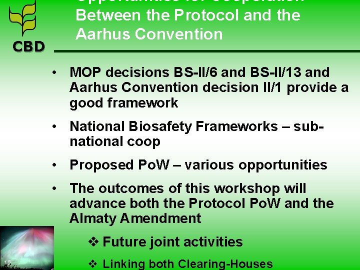 CBD Opportunities for Cooperation Between the Protocol and the Aarhus Convention • MOP decisions