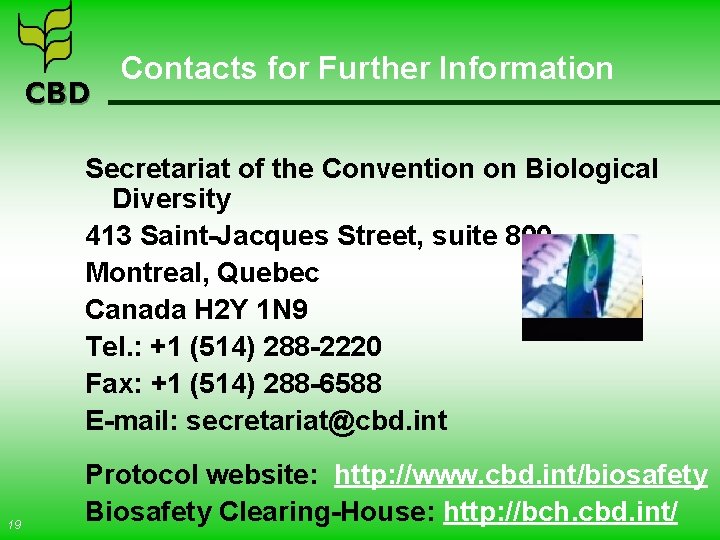 CBD Contacts for Further Information Secretariat of the Convention on Biological Diversity 413 Saint-Jacques