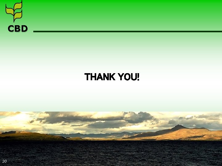 CBD THANK YOU! 20 