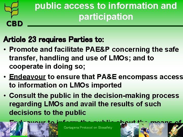 CBD public access to information and participation Article 23 requires Parties to: • Promote