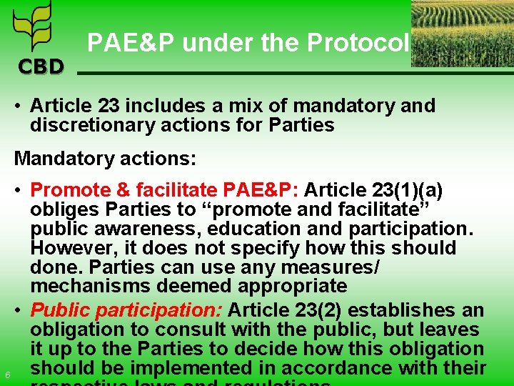 CBD PAE&P under the Protocol • Article 23 includes a mix of mandatory and
