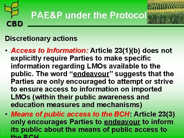CBD PAE&P under the Protocol Discretionary actions • Access to Information: Article 23(1)(b) does