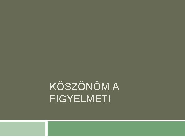 KÖSZÖNÖM A FIGYELMET! 