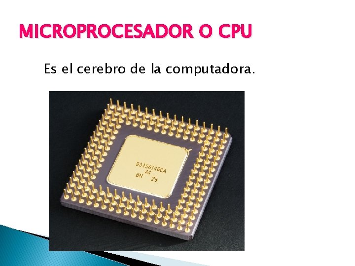 MICROPROCESADOR O CPU Es el cerebro de la computadora. 