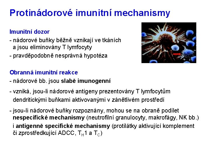 Protinádorové imunitní mechanismy Imunitní dozor - nádorové buňky běžně vznikají ve tkáních a jsou