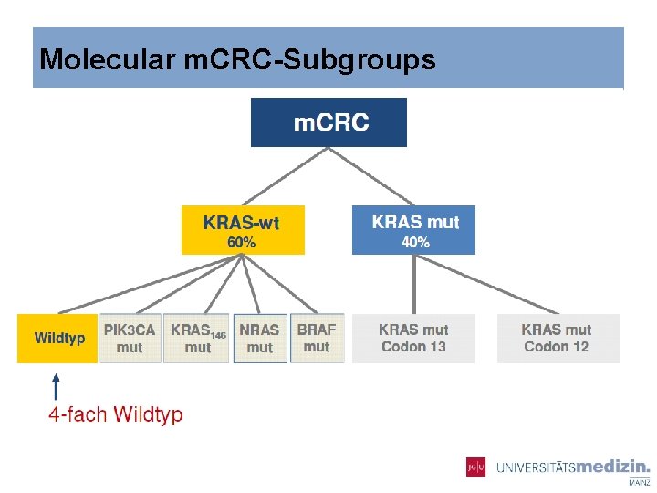 Molecular m. CRC-Subgroups 