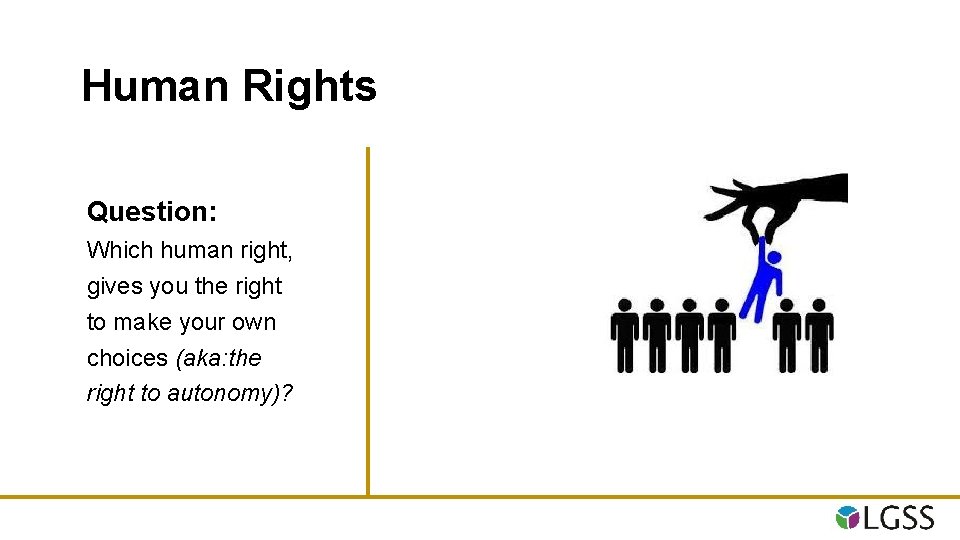 Human Rights Question: Which human right, gives you the right to make your own