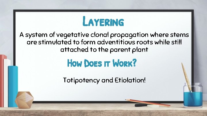 Layering A system of vegetative clonal propagation where stems are stimulated to form adventitious