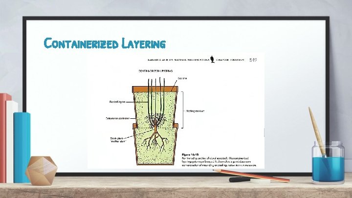 Containerized Layering 