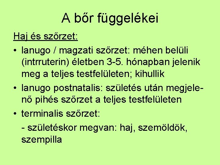 A bőr függelékei Haj és szőrzet: • lanugo / magzati szőrzet: méhen belüli (intrruterin)