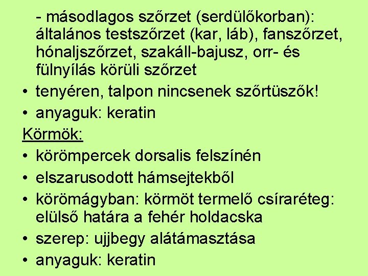 - másodlagos szőrzet (serdülőkorban): általános testszőrzet (kar, láb), fanszőrzet, hónaljszőrzet, szakáll-bajusz, orr- és fülnyílás