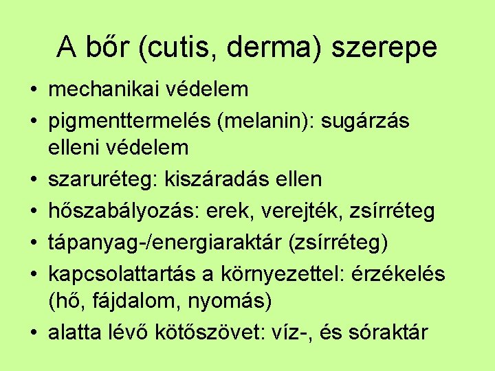 A bőr (cutis, derma) szerepe • mechanikai védelem • pigmenttermelés (melanin): sugárzás elleni védelem