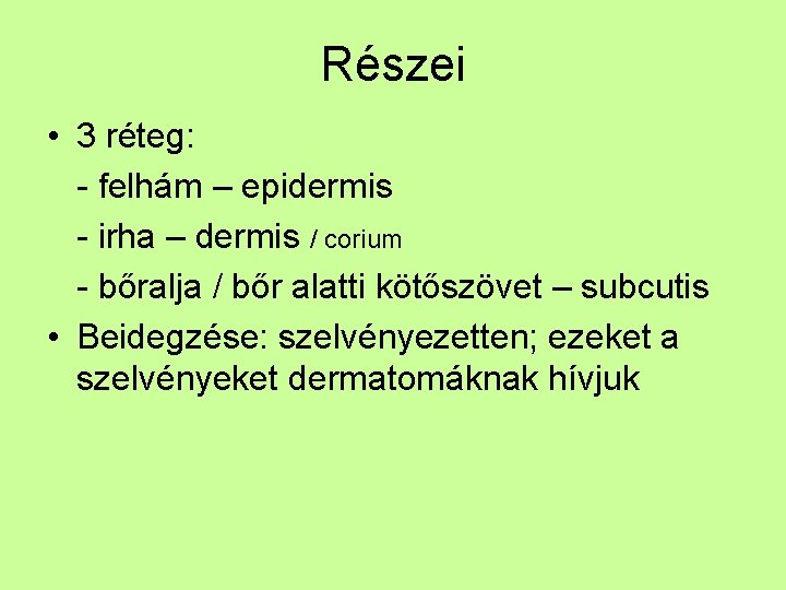Részei • 3 réteg: - felhám – epidermis - irha – dermis / corium