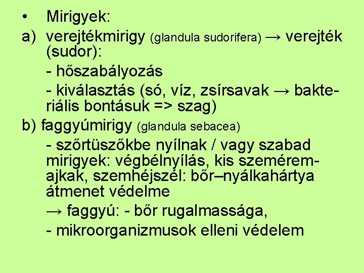  • Mirigyek: a) verejtékmirigy (glandula sudorifera) → verejték (sudor): - hőszabályozás - kiválasztás