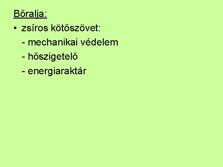 Bőralja: • zsíros kötőszövet: - mechanikai védelem - hőszigetelő - energiaraktár 