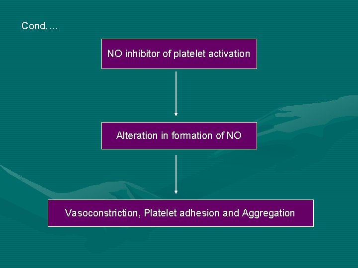 Cond…. NO inhibitor of platelet activation Alteration in formation of NO Vasoconstriction, Platelet adhesion