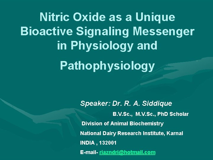 Nitric Oxide as a Unique Bioactive Signaling Messenger