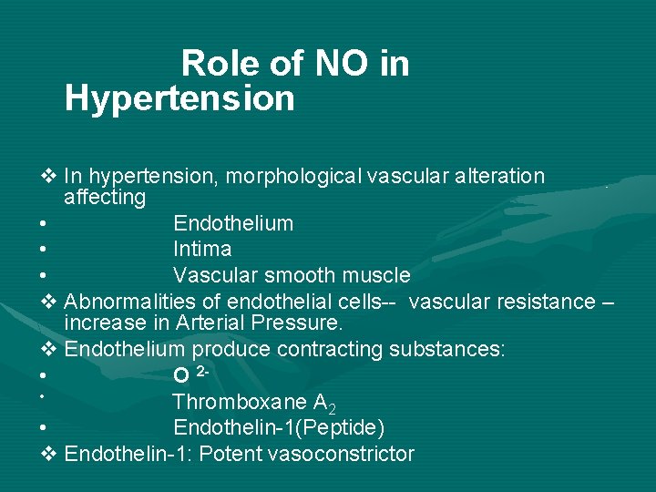 Role of NO in Hypertension v In hypertension, morphological vascular alteration affecting • Endothelium