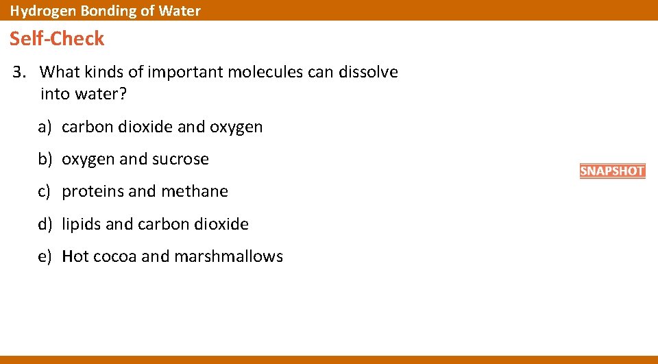 Hydrogen Bonding of Water Self-Check 3. What kinds of important molecules can dissolve into
