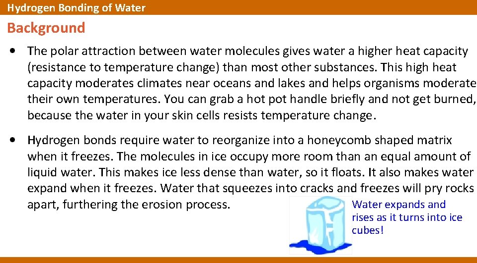 Hydrogen Bonding of Water Background • The polar attraction between water molecules gives water