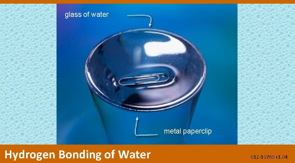 glass of water metal paperclip Hydrogen Bonding of Water 012 -10760 r 1. 04