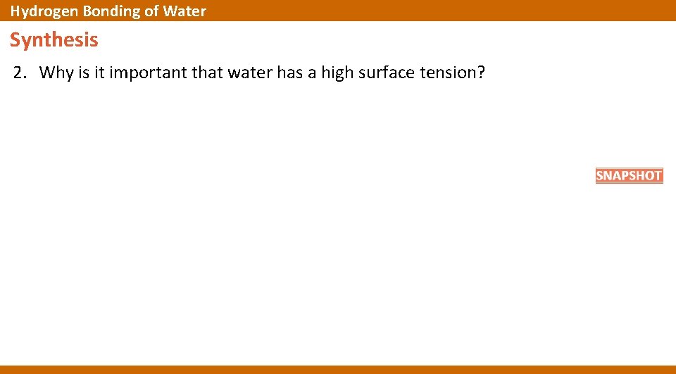 Hydrogen Bonding of Water Synthesis 2. Why is it important that water has a