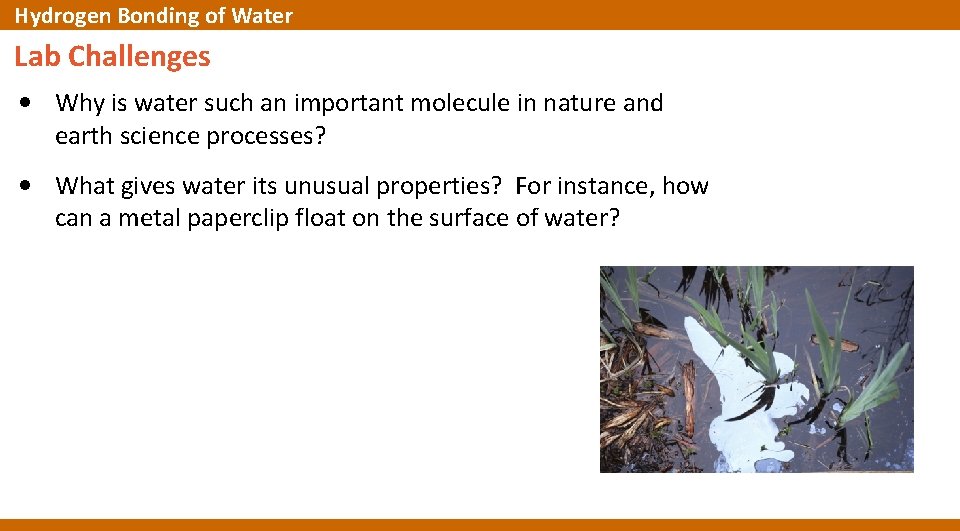 Hydrogen Bonding of Water Lab Challenges • Why is water such an important molecule