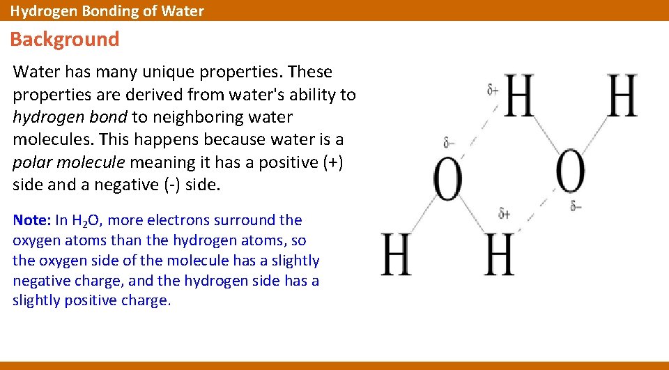 Hydrogen Bonding of Water Background Water has many unique properties. These properties are derived