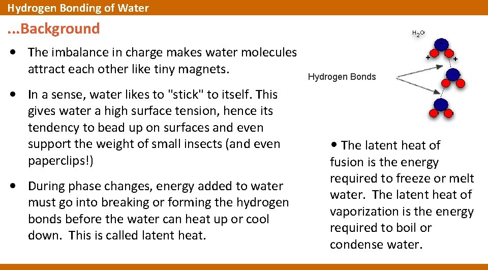 Hydrogen Bonding of Water . . . Background • The imbalance in charge makes