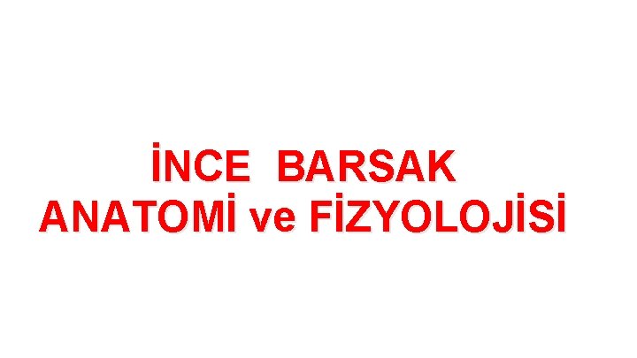 İNCE BARSAK ANATOMİ ve FİZYOLOJİSİ 