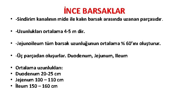 İNCE BARSAKLAR • -Sindirim kanalının mide ile kalın barsak arasında uzanan parçasıdır • -Uzunlukları