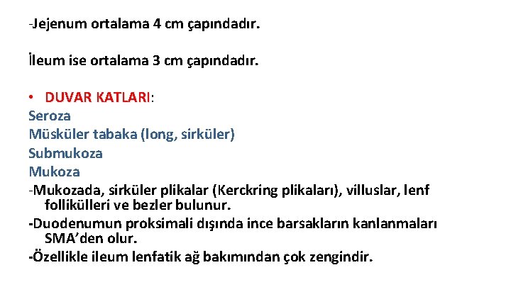 -Jejenum ortalama 4 cm çapındadır. İleum ise ortalama 3 cm çapındadır. • DUVAR KATLARI: