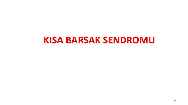 KISA BARSAK SENDROMU 65 