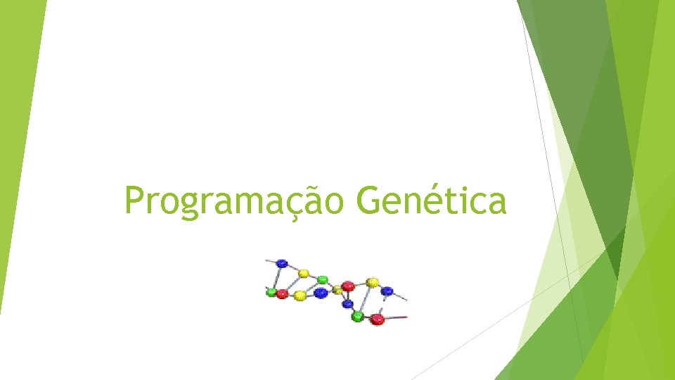 Programação Genética 