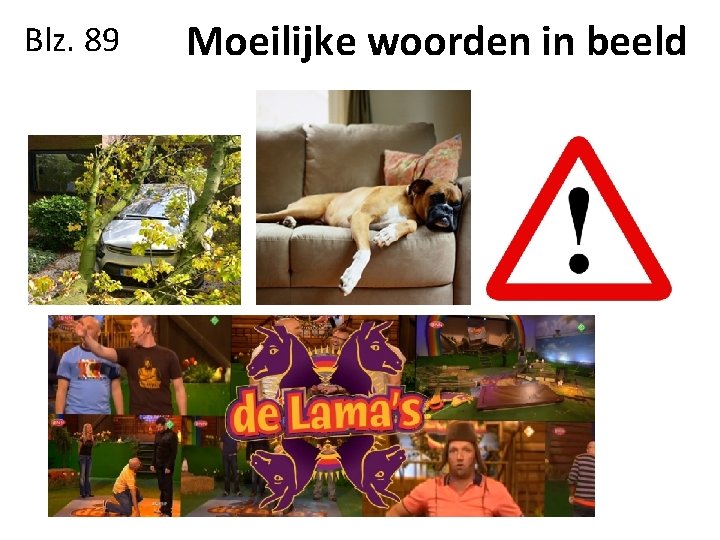 Blz. 89 Moeilijke woorden in beeld 