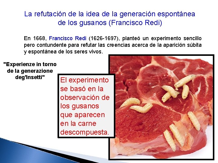 La refutación de la idea de la generación espontánea de los gusanos (Francisco Redi)