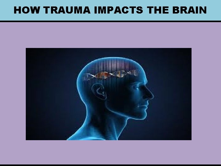 HOW TRAUMA IMPACTS THE BRAIN 