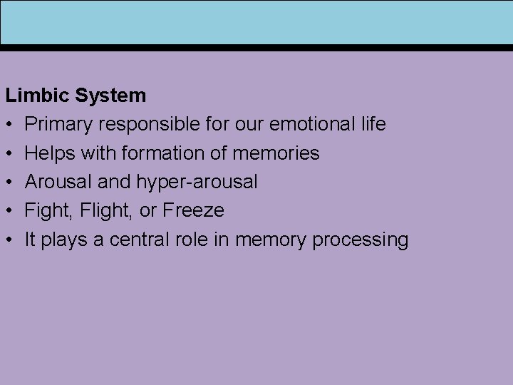Limbic System • Primary responsible for our emotional life • Helps with formation of