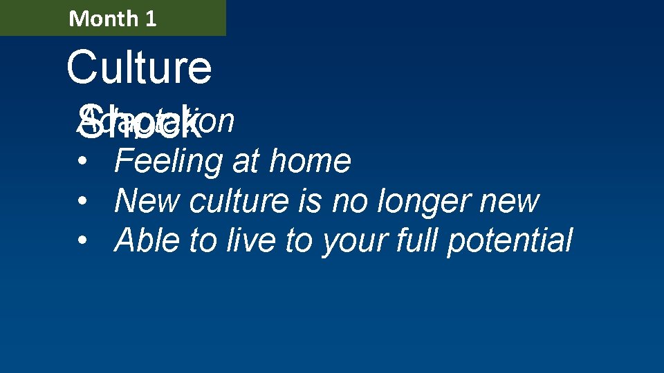 Month 1 Culture Adaptation Shock • Feeling at home • New culture is no