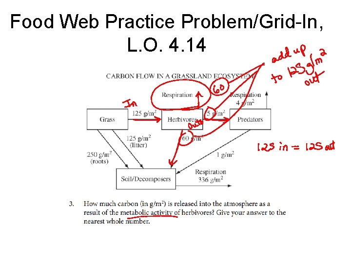 Food Web Practice Problem/Grid-In, L. O. 4. 14 