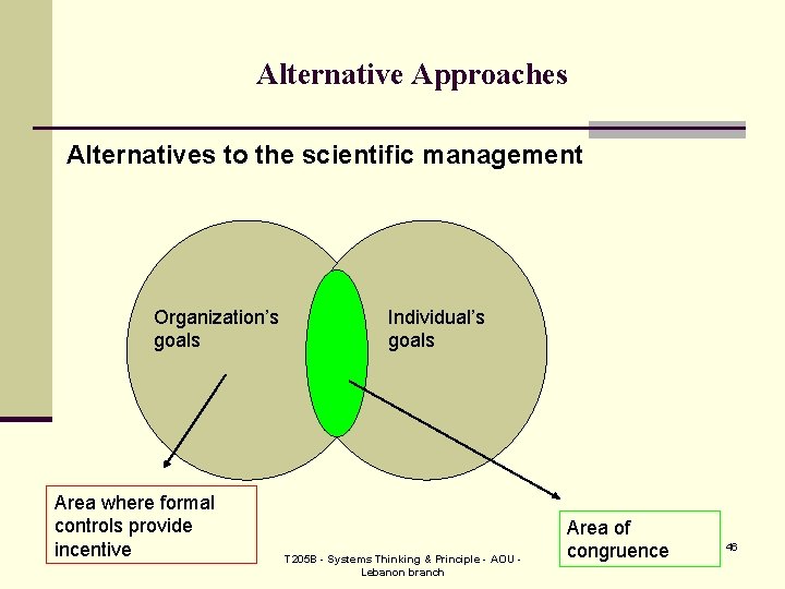 Alternative Approaches Alternatives to the scientific management Organization’s goals Area where formal controls provide