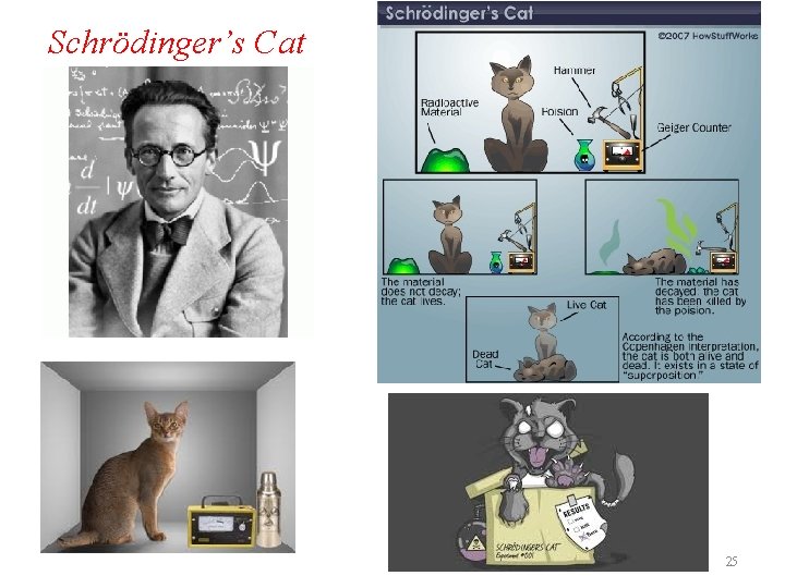 Schrödinger’s Cat 25 