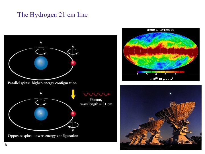 The Hydrogen 21 cm line 42 