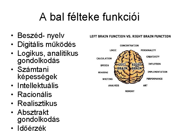 A bal félteke funkciói • Beszéd- nyelv • Digitális működés • Logikus, analitikus gondolkodás