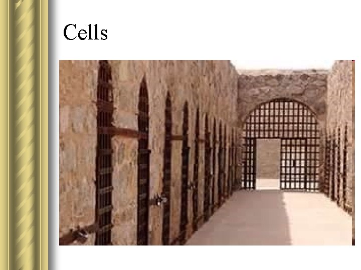 Cells 