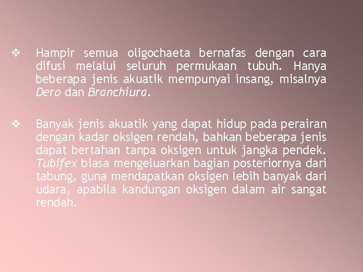 v Hampir semua oligochaeta bernafas dengan cara difusi melalui seluruh permukaan tubuh. Hanya beberapa v Hampir semua oligochaeta bernafas dengan cara difusi melalui seluruh permukaan tubuh. Hanya beberapa