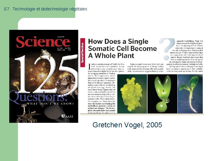 S 7 : Technologie et biotechnologie végétales Gretchen Vogel, 2005 